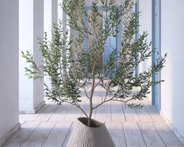 Indoor Plant 09 3D model