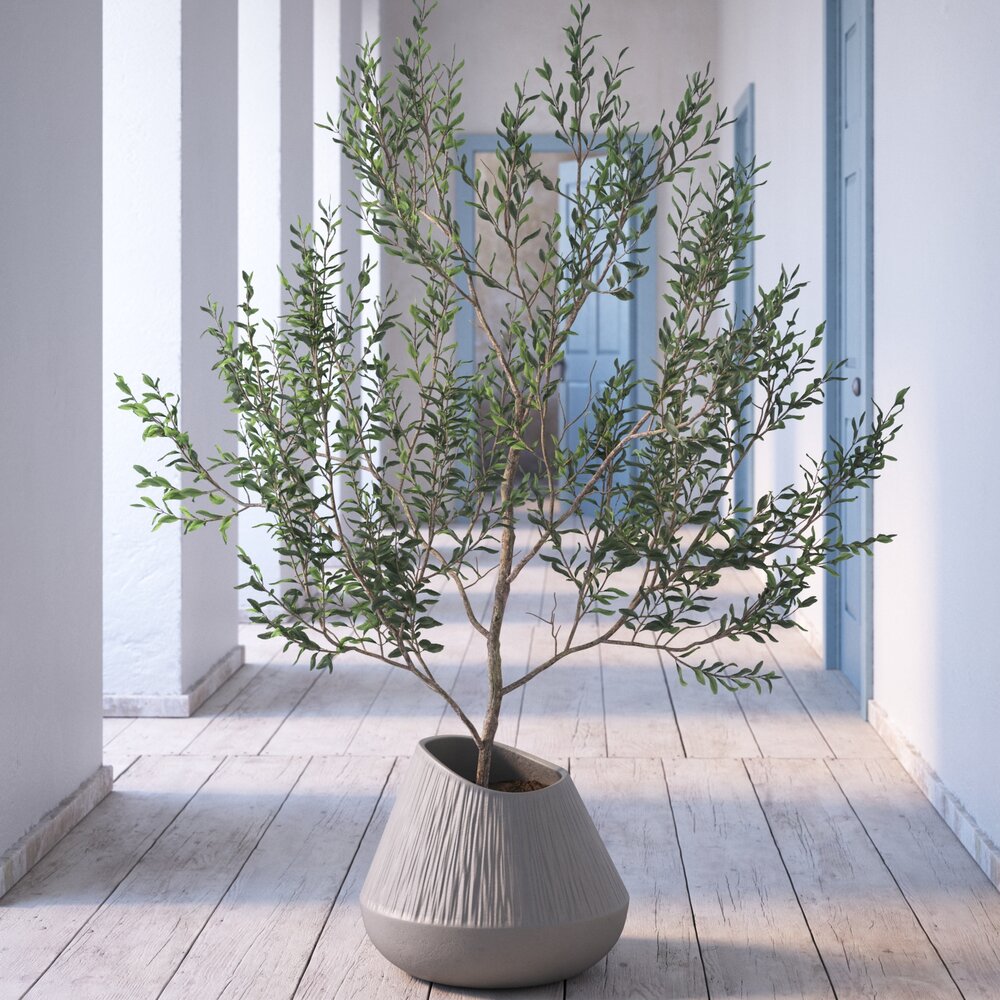 Indoor Plant 09 3D-Modell