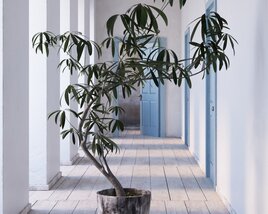 Indoor Plant 11 3D модель