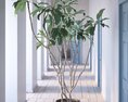 Indoor Plant 12 3D модель