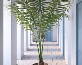 3D model of Indoor Plant 13