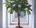 Indoor Plant 14 3D модель