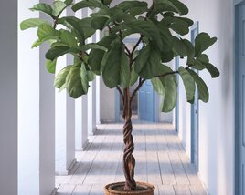 Indoor Plant 14 3D 모델 