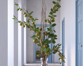 Indoor Plant 15 3D модель