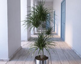 Indoor Plant 19 3D-Modell