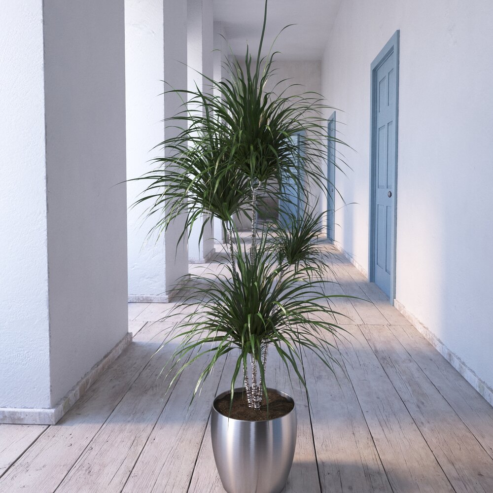 Indoor Plant 19 3D-Modell