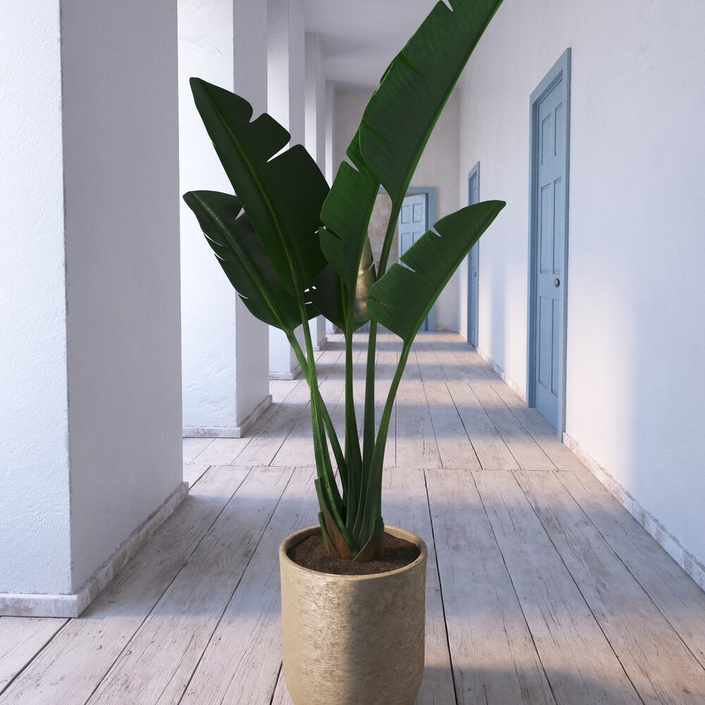 Indoor Plant 20 3D-Modell