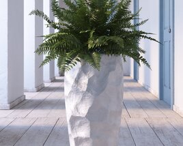 Indoor Plant 23 Modello 3D