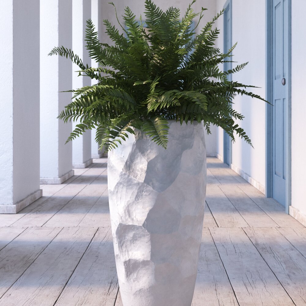 Indoor Plant 23 3D модель