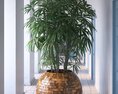 Indoor Plant 25 3d model
