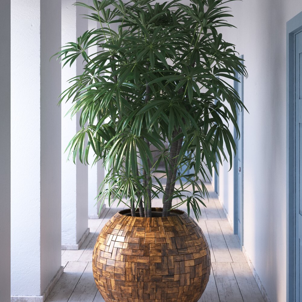 Indoor Plant 25 3d model