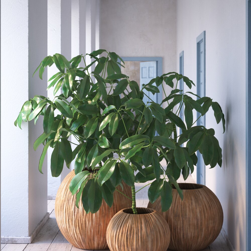 Indoor Plant 26 3D модель