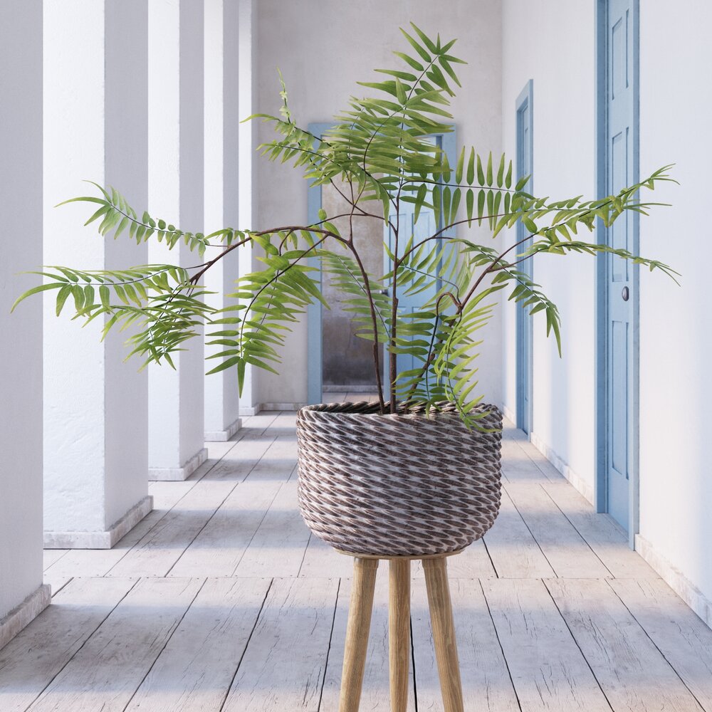 Indoor Plant 27 3D-Modell