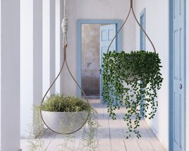 Indoor Plant 29 3D модель