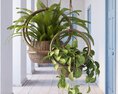 Indoor Plant 30 3D-Modell
