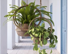 Indoor Plant 30 3D-Modell