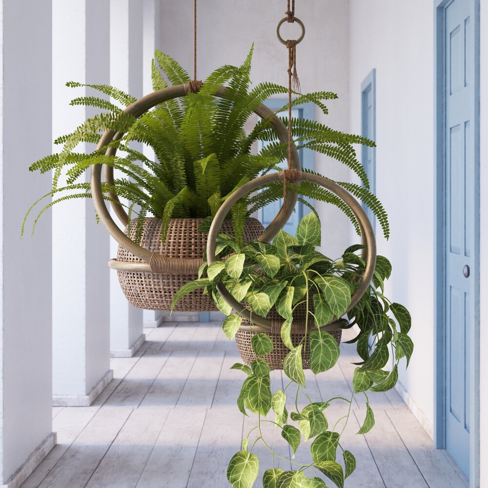 Indoor Plant 30 3D модель