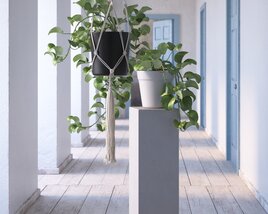 Indoor Plant 31 3D модель