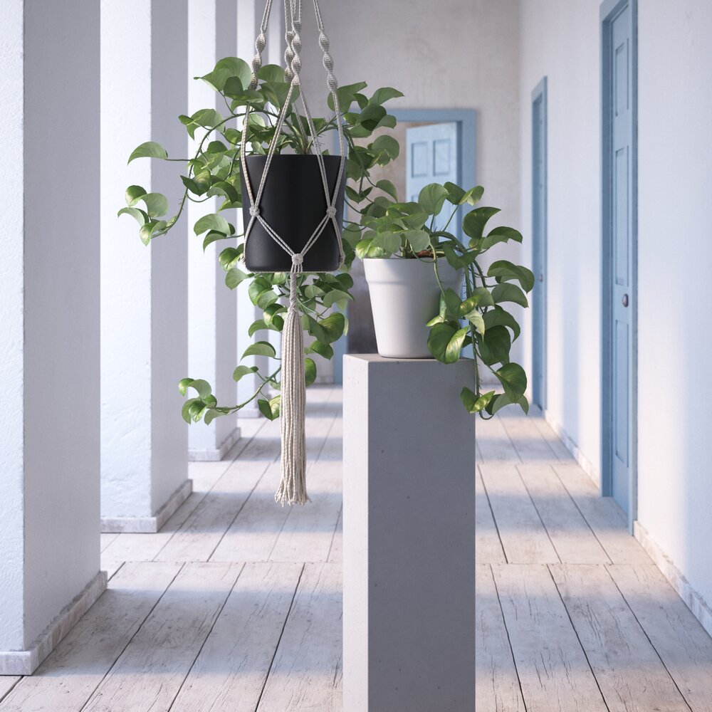 Indoor Plant 31 Modelo 3D