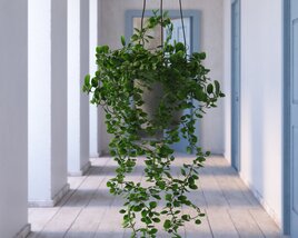 Indoor Plant 32 3D 모델 
