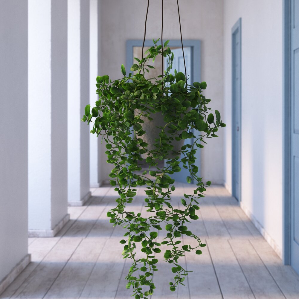 Indoor Plant 32 3D-Modell