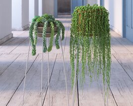 Indoor Plant 33 3D 모델 