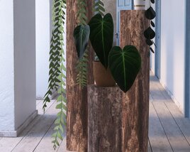 Indoor Plant 36 3D-Modell