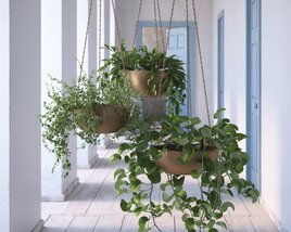 Indoor Plant 37 3D модель