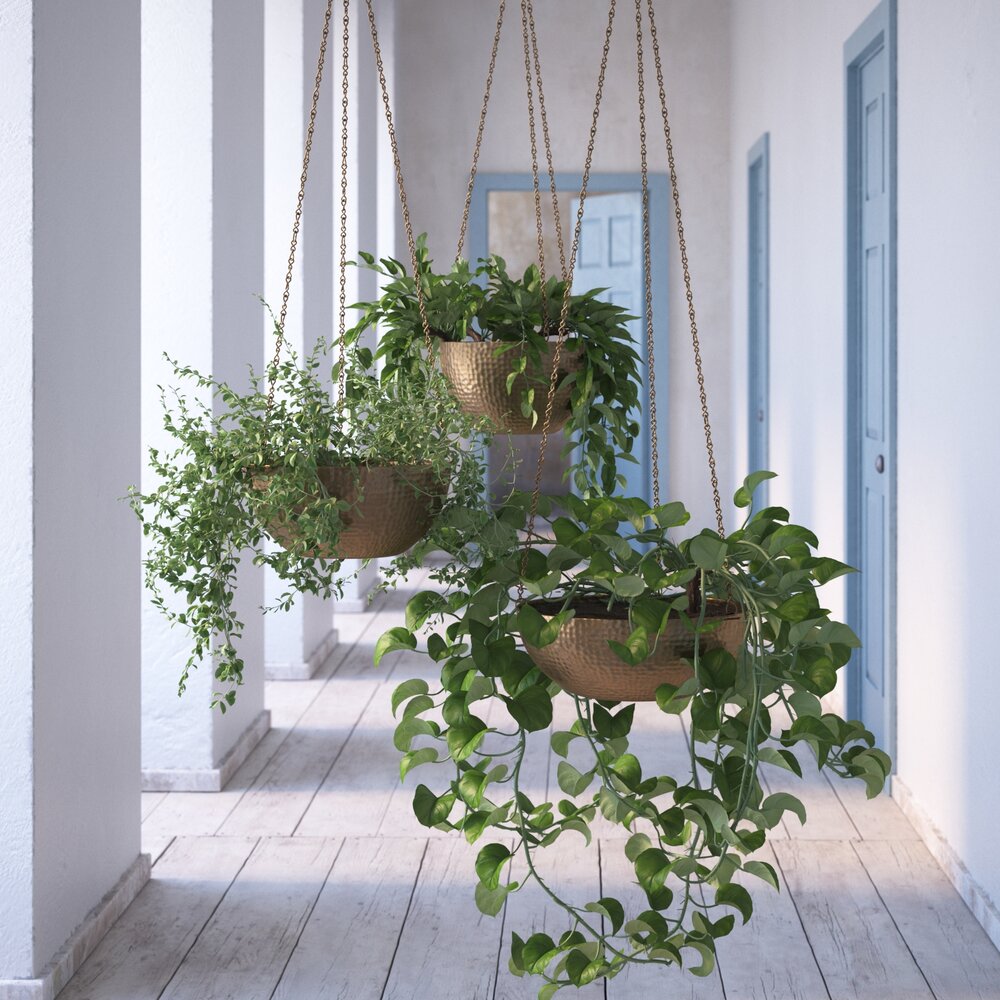 Indoor Plant 37 3D-Modell
