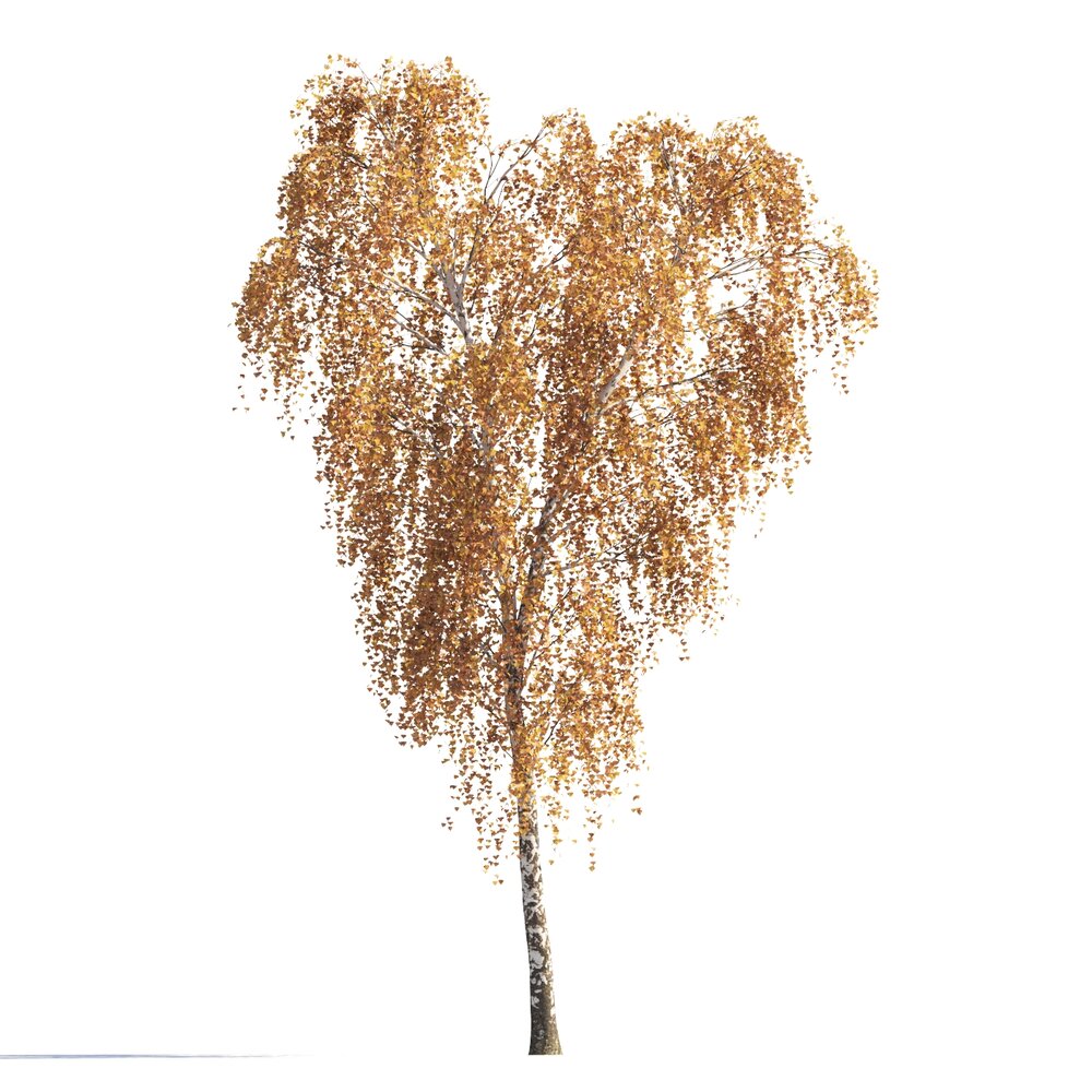 Golden Autumn Birch Tree Modelo 3d