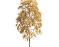 Golden Birch Tree Modèle 3d