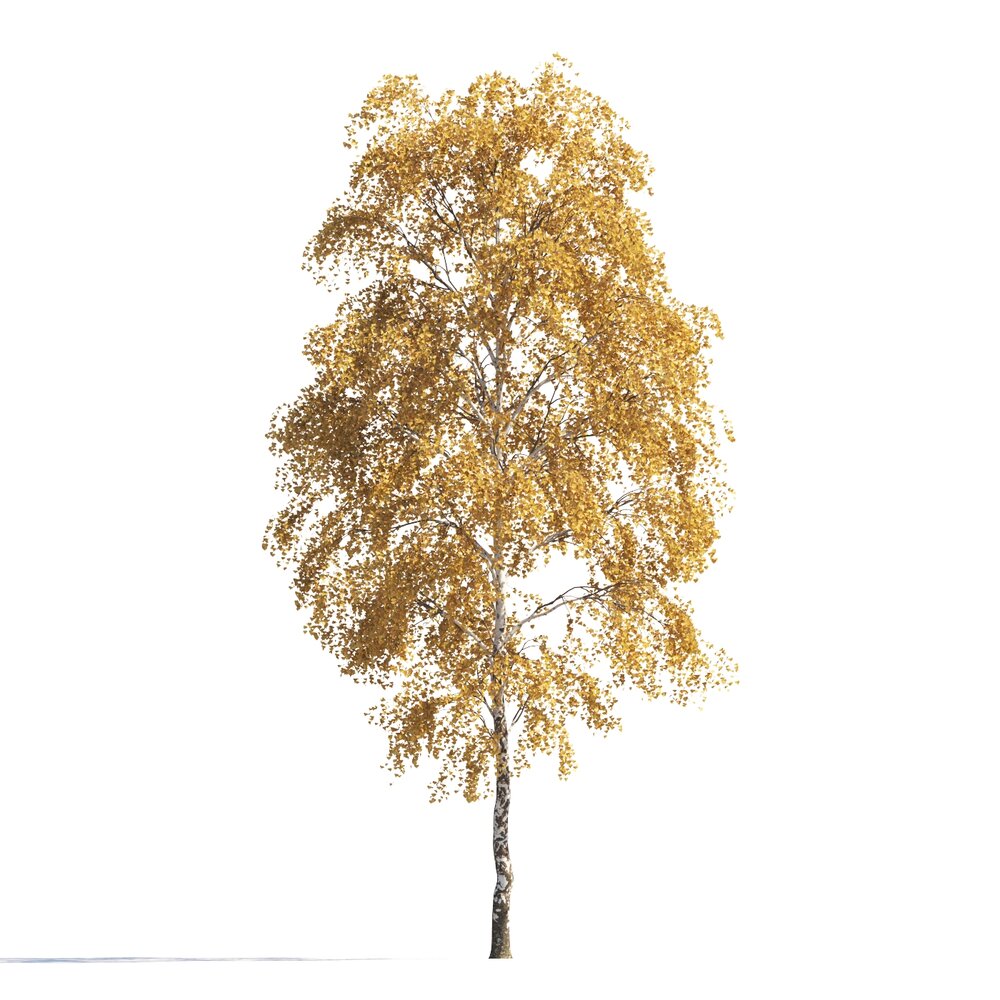 Golden Birch Tree 3d model