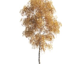 Golden Autumn Birch Tree for Park 3D模型