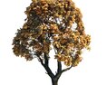 Autumn Chestnut Golden-Leafed Tree Modelo 3d