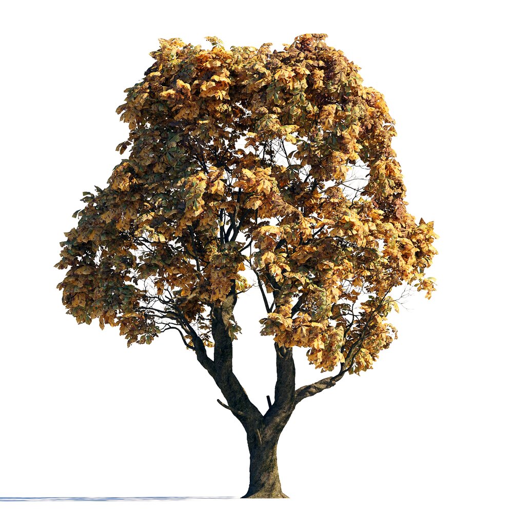 Autumn Chestnut Golden-Leafed Tree Modèle 3D