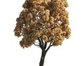 Autumn Chestnut Tree 05 Modello 3D