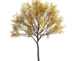 Golden Autumn Maple Tree Modelo 3d