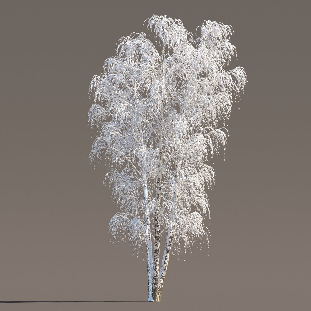 Snowy Birch Tree Modelo 3D