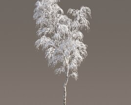 Frosted Birch in Winter 03 3Dモデル