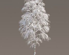 Birch Frost-covered Tree Modèle 3D