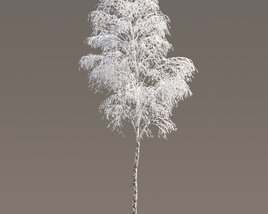 Frosted Birch Tree Modèle 3D