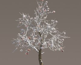 Chestnut Tree with Frozen Leaves Modello 3D