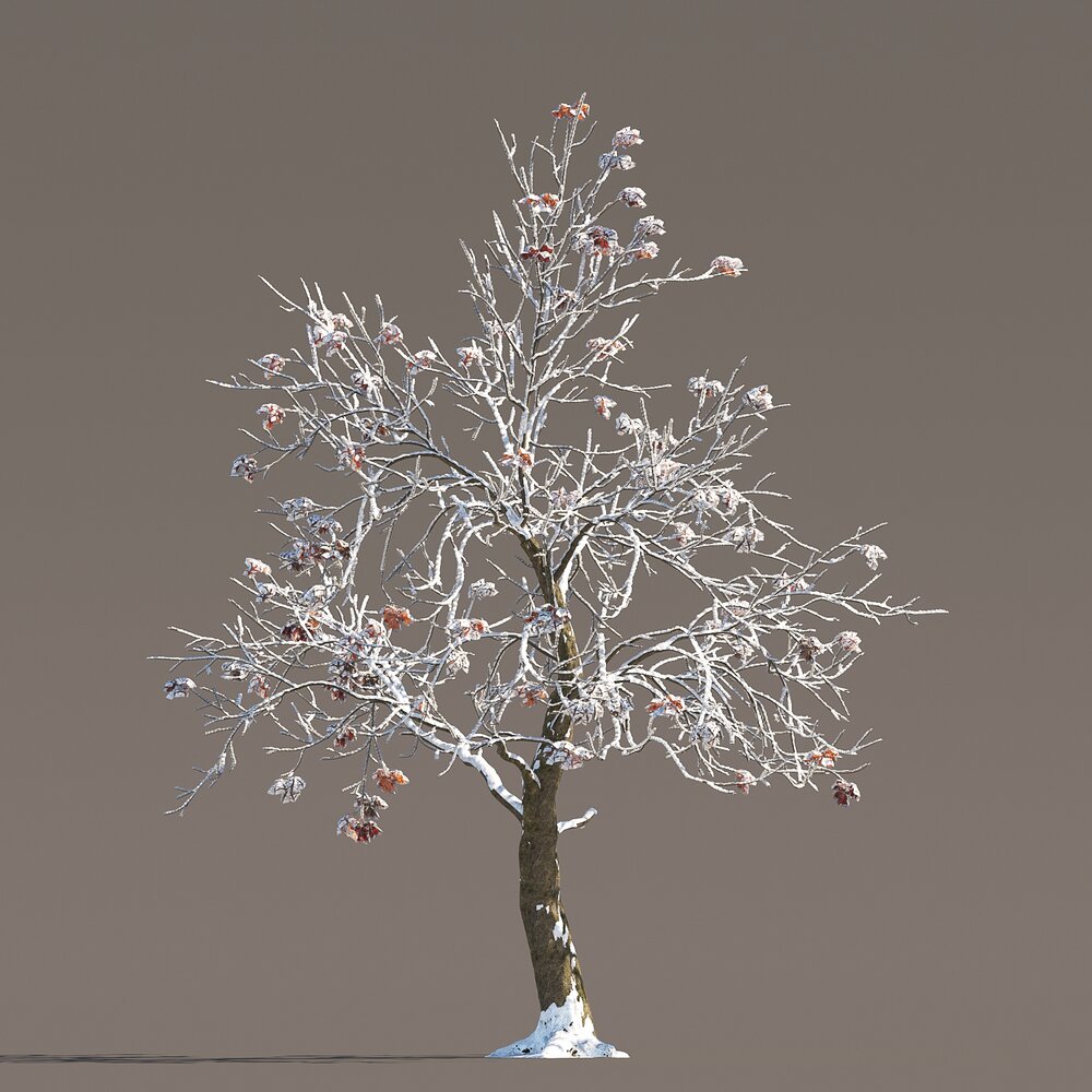 Chestnut Tree with Frozen Leaves 3D model