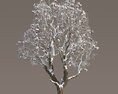 Chestnut Snowed Tree 3d model