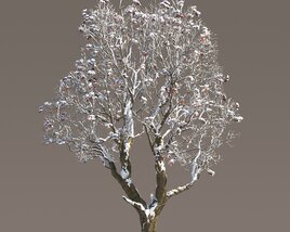 Chestnut Snowed Tree Modèle 3D