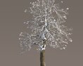 Chestnut Frosty Tree 3d model