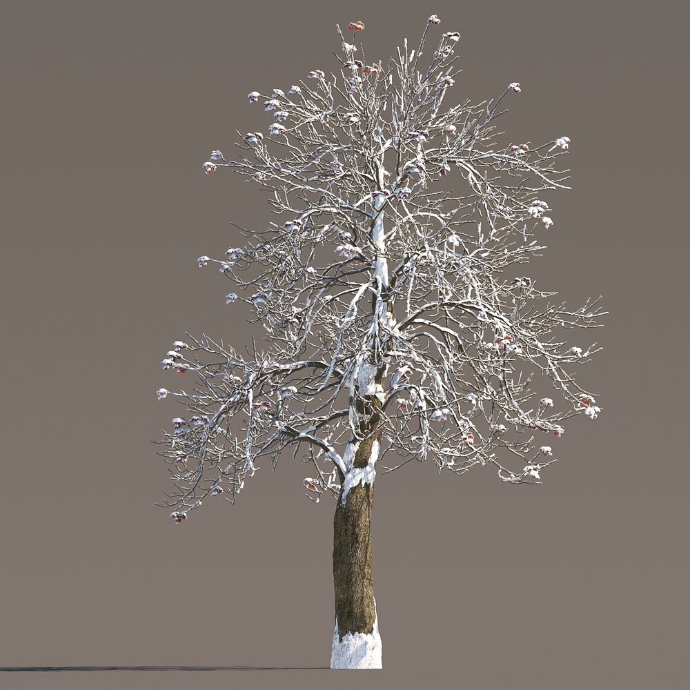Chestnut Frosty Tree Modèle 3D