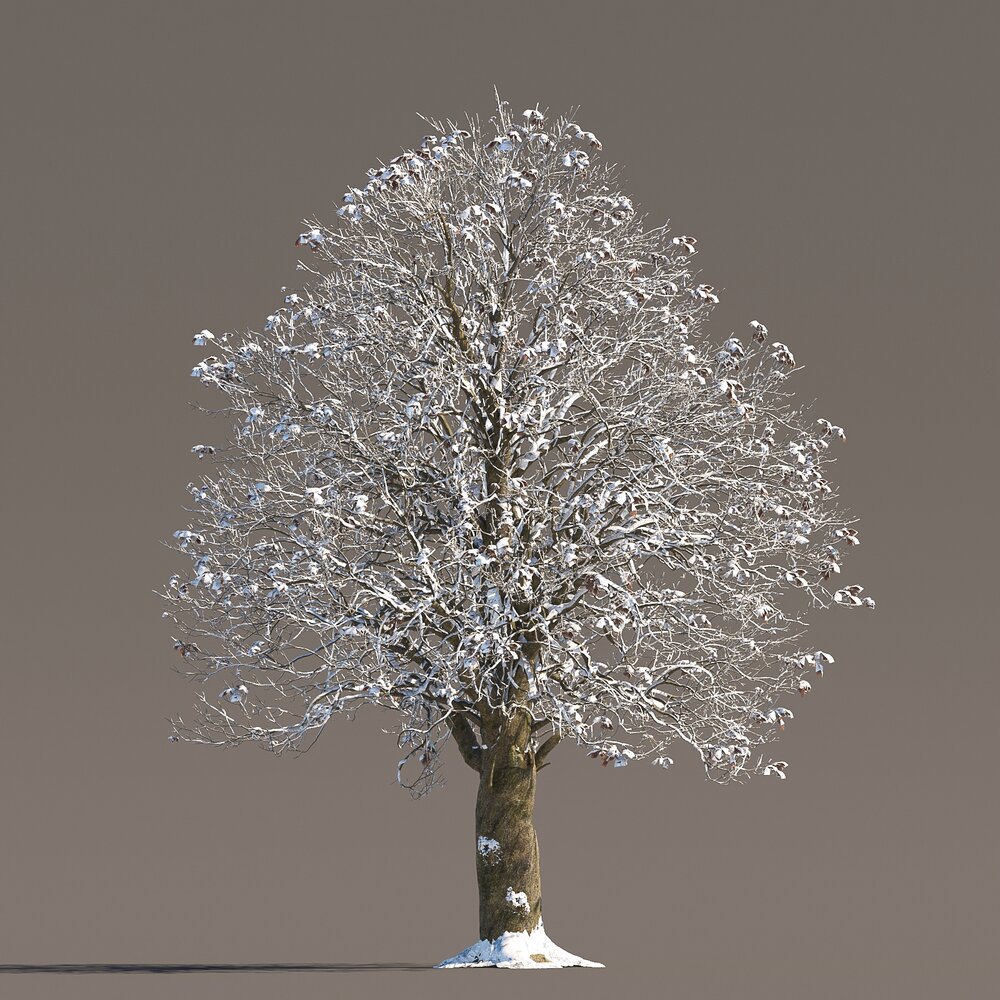 Large Chestnut Tree 3D 모델 