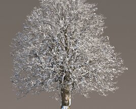 Snowy Chestnut Tree Modelo 3d