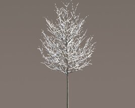 Small Tilia Winter Tree Modello 3D
